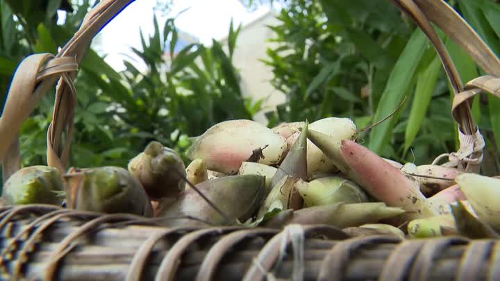 0918如皋蓑荷33.JPG