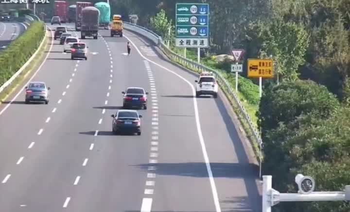 沈海高速如皋段惊险一幕：老人步行误上高速 民警驱车紧急带离